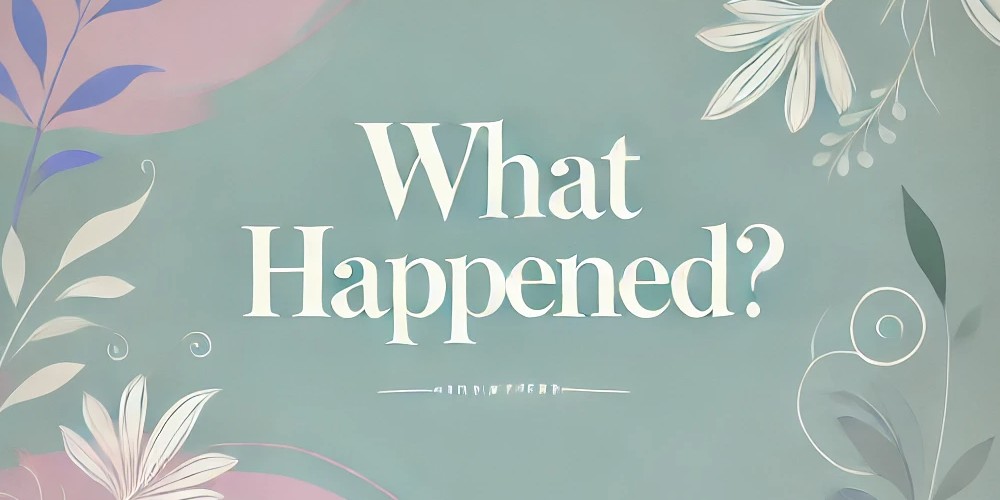 What Happened Embed