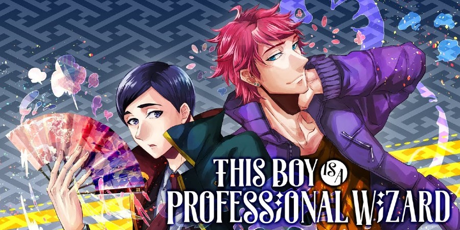 The Boy is a Professional Wizard